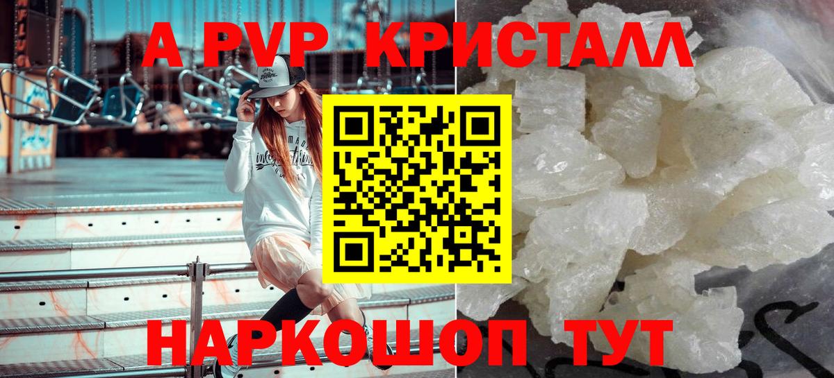 Альфа ПВП СК КРИС Железноводск