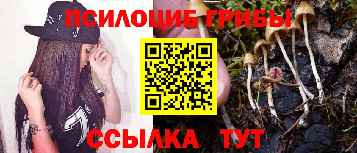 Галлюциногенные грибы Magic Shrooms Железноводск