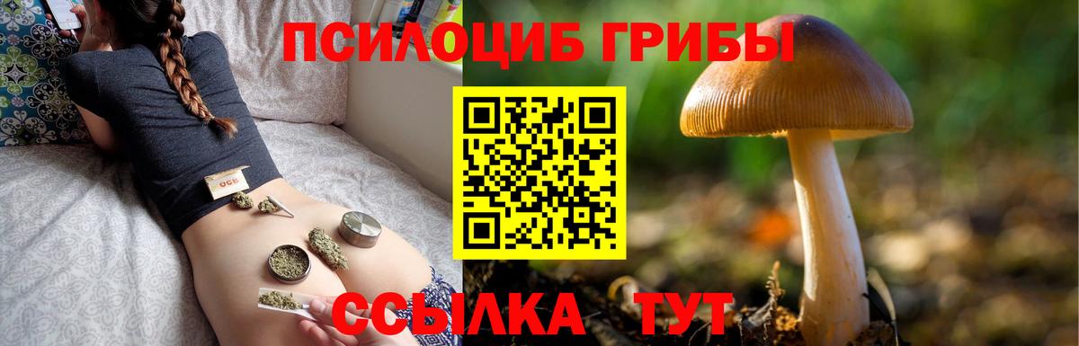 Псилоцибиновые грибы Psilocybe  Вход с VPN  Железноводск  Псилоцибиновые грибы прущие грибы 