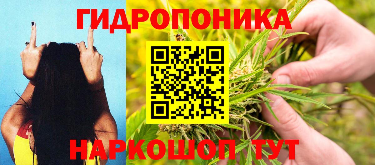Бошки марихуана конопля Железноводск